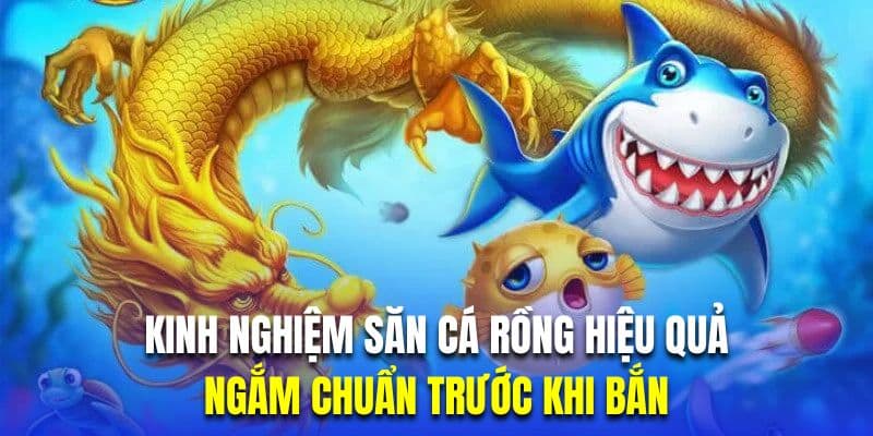 Kinh nghiệm săn cá rồng hiệu quả